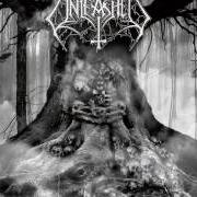 The lyrics DEAD TO ME of UNLEASHED is also present in the album As yggdrasil trembles (2010)