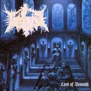 The lyrics FORCE OF THE SERPENT of UNLORD is also present in the album Lord of beneath (2002)