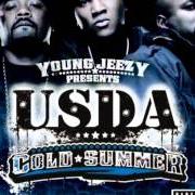 The lyrics RESPECT DA SHIELD of USDA is also present in the album Cold summer (2007)