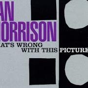The lyrics WHAT'S WRONG WITH THIS PICTURE? of VAN MORRISON is also present in the album What's wrong with this picture? (2003)