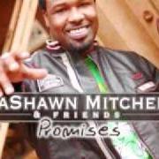 The lyrics MY TESTIMONY of VASHAWN MITCHELL is also present in the album Promises (2007)