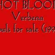 The lyrics HOT BLOOD of VERBENA is also present in the album Souls for sale (1997)