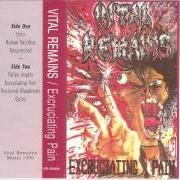 The lyrics INTRO of VITAL REMAINS is also present in the album Excrutiating pain - demo (1990)