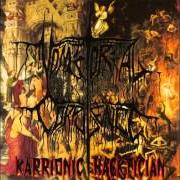 The lyrics HAMMERING SATANS HEAD of VOMITORIAL CORPULENCE is also present in the album Karrionic hacktician (1995)