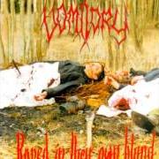 The lyrics INFERNO of VOMITORY is also present in the album Raped in their own blood (1996)