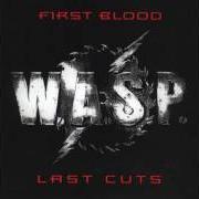 The lyrics HOLD ON TO MY HEART of W.A.S.P. is also present in the album First blood... last cuts (1993)
