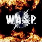 The lyrics SLEEPING (IN THE FIRE) of W.A.S.P. is also present in the album I wanna be somebody (1984)