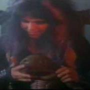 The lyrics SLEEPING (IN THE FIRE) (ACOUSTIC VERSION) of W.A.S.P. is also present in the album Scream until you like it (1987)