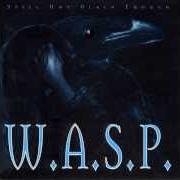 The lyrics BLACK FOREVER of W.A.S.P. is also present in the album Still not black enough (1995)