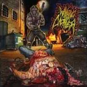 The lyrics MOLESTED TO DEATH of WAKING THE CADAVER is also present in the album Real-life death (2013)
