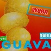 The lyrics REGGAEJUNKIEJEW of WEEN is also present in the album Pure guava (1992)