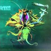 The lyrics I'M DANCING IN THE SHOW TONIGHT of WEEN is also present in the album The mollusk (1997)