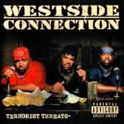 The lyrics SUPERSTAR (DOUBLE MURDER = DOUBLE PLATINUM) of WESTSIDE CONNECTION is also present in the album Terrorist threats (2003)