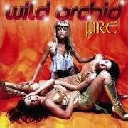 The lyrics CANDLE LIGHT of WILD ORCHID is also present in the album Fire