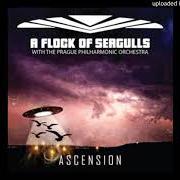 The lyrics ASCENSION of A FLOCK OF SEAGULLS is also present in the album Ascension (2018)