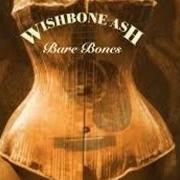 The lyrics HARD TIMES of WISHBONE ASH is also present in the album Bare bones (1999)