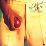 The lyrics HOMETOWN of WISHBONE ASH is also present in the album There's the rub (1974)