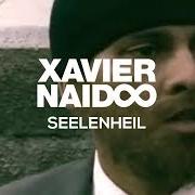 The lyrics SEELENHEIL of XAVIER NAIDOO is also present in the album Telegramm für x (2005)