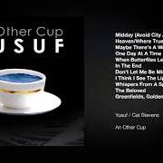 The lyrics DON'T LET ME BE MISUNDERSTOOD of YUSUF ISLAM is also present in the album An other cup (2006)