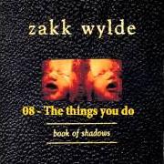 The lyrics WAY BEYOND EMPTY of ZAKK WYLDE is also present in the album Book of shadows (1996)