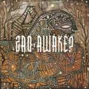 The lyrics ENTROPICA of ZAO is also present in the album Awake? (2009)