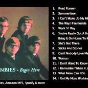 The lyrics YOU'VE REALLY GOT A HOLD ON ME / BRING IT ON HOME TO ME of THE ZOMBIES is also present in the album The zombies (1965)