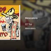 The lyrics DUSTED of ZZ TOP is also present in the album Mescalero (2003)