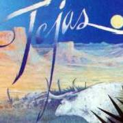 The lyrics EL DIABLO of ZZ TOP is also present in the album Tejas (1976)
