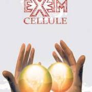 The lyrics ADESSO BRUCIAMI of EXEM is also present in the album Isola ribelle (2008)