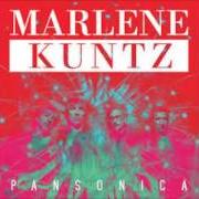 The lyrics SOTTO LA LUNA of MARLENE KUNTZ is also present in the album Pansonica (2014)