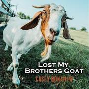 The lyrics DRINKING ABOUT WHAT IF (LIVE ACOUSTIC) of CASEY DONAHEW BAND is also present in the album Lost my brothers goat (2020)