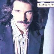 The lyrics FELICIDAD NO TIENES DUEÑO of DIEGO VERDAGUER is also present in the album Lágrimas (1991)