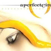 The lyrics VANISHING of A PERFECT CIRCLE is also present in the album Thirteenth step (2003)