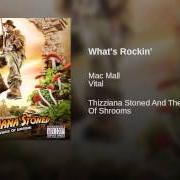 The lyrics PERFECT POISON of MAC MALL is also present in the album Thizziana stoned and the temple of shrooms (2006)