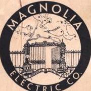 The lyrics HAMMER DOWN of MAGNOLIA ELECTRIC CO. is also present in the album What comes after the blues (2005)