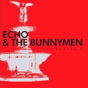 The lyrics EVERLASTING NEVERENDLESS of ECHO AND THE BUNNYMEN is also present in the album The fountain (2009)