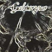 The lyrics ANCIENT RAGE of GALNERYUS is also present in the album Advance to the fall (2005)