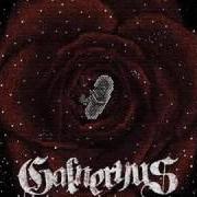 The lyrics BLAME YOURSELF of GALNERYUS is also present in the album Reincarnation (2008)