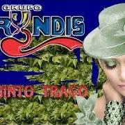The lyrics LA ULTIMA CANCION of GRUPO BRYNDIS is also present in the album El quinto trago (2004)