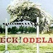 The lyrics NOVACANE of BECK is also present in the album Odelay (1996)