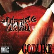 The lyrics WHEN U HIT YA LOWZ of NATAS is also present in the album Godlike (2002)