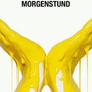 The lyrics MORGENSTUND of SCHILLER is also present in the album Morgenstund (2019)