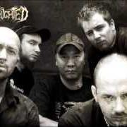 The lyrics SUFFER THE CHILDREN of BENIGHTED is also present in the album Identisick (2006)