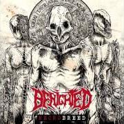 The lyrics REEKS OF DARKENED ZOOPSIA of BENIGHTED is also present in the album Necrobreed (2017)