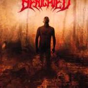 The lyrics COMPLETE EXSANGUINATION of BENIGHTED is also present in the album Icon (2007)