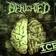 The lyrics FOETUS of BENIGHTED is also present in the album Icp - insane cephalic production (2004)