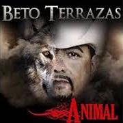 The lyrics TENME FE of BETO TERRAZAS is also present in the album Con los pies en la tierra (2006)