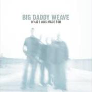 The lyrics WHAT I WAS MADE FOR of BIG DADDY WEAVE is also present in the album What i was made for (2005)