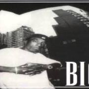 The lyrics PLATINUM PLUS of BIG L is also present in the album The archives 1996-2000 (2006)