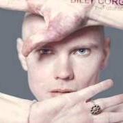 The lyrics WALKING SHADE of BILLY CORGAN is also present in the album The future embrace (2005)